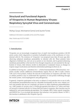 Respiratory Syncytial Virus and Coronaviruses