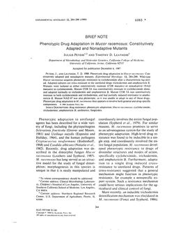 BRIEF NOTE Phenotypic Drug Adaptation in Mucor