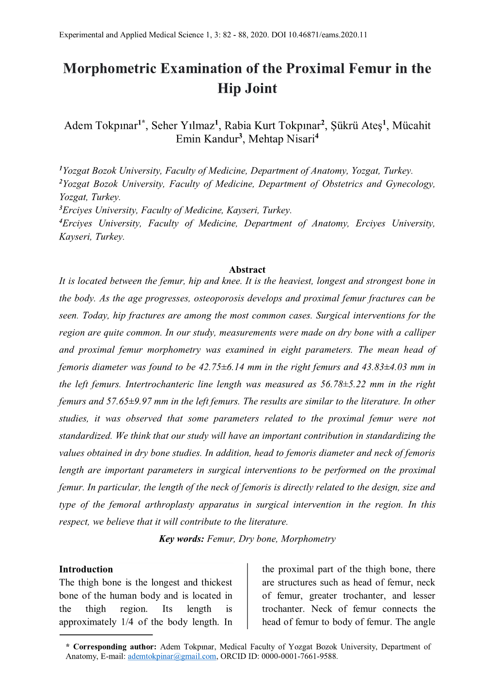 morphometric-examination-of-the-proximal-femur-in-the-hip-joint-docslib