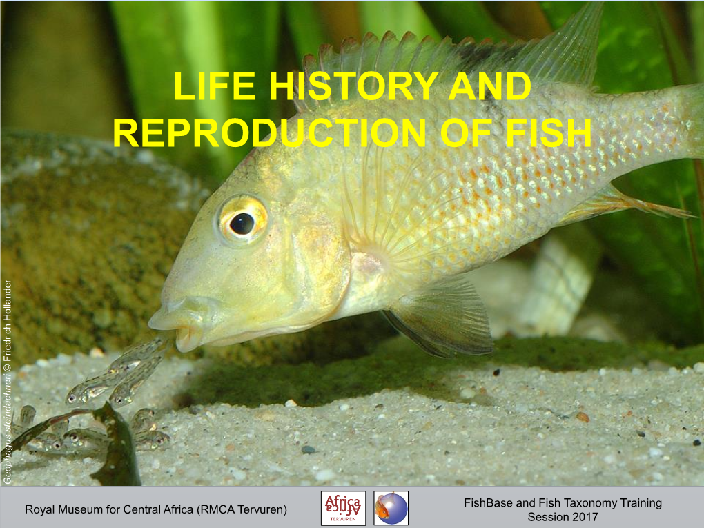 Life History and Reproduction of Fish