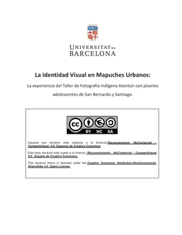 La Identidad Visual En Mapuches Urbanos