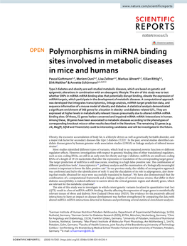 Polymorphisms in Mirna Binding Sites Involved in Metabolic Diseases