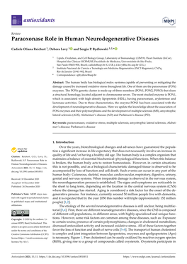 Paraoxonase Role in Human Neurodegenerative Diseases