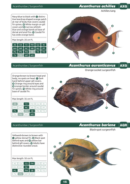Identification Guide to the Common Coatal Food Fishes of the Pacific