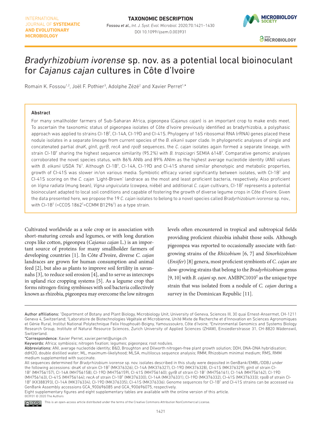 Bradyrhizobium Ivorense Sp. Nov. As a Potential Local Bioinoculant for Cajanus Cajan Cultures in Côte D’Ivoire