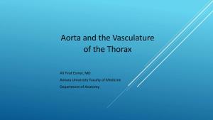 Aorta and the Vasculature of the Thorax