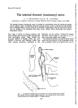 The Internal Thoracic (Mammary) Nerve A