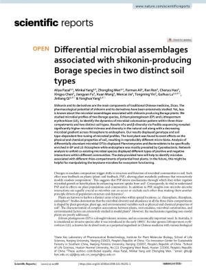 Differential Microbial Assemblages Associated with Shikonin-Producing