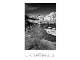Capitol Reef Reef 118 Photographing the Southwest – Vol