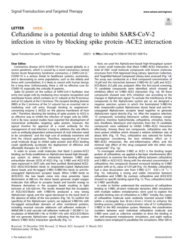 Ceftazidime Is a Potential Drug to Inhibit SARS-Cov-2 Infection in Vitro by Blocking Spike Protein–ACE2 Interaction