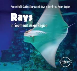 Sharks and Rays in Southeast Asian Region Rays in Southeast Asian Region PREPARATION and DISTRIBUTION of THIS FIELD GUIDE
