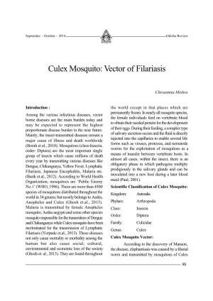 Culex Mosquito: Vector of Filariasis
