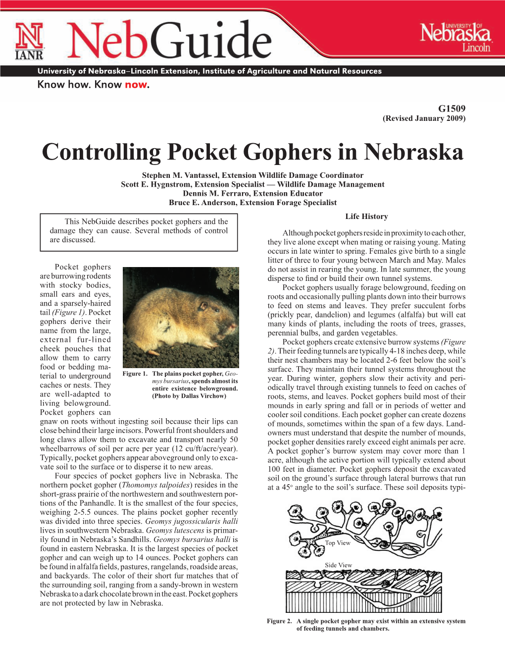 Controlling Pocket Gophers in Nebraska Stephen M