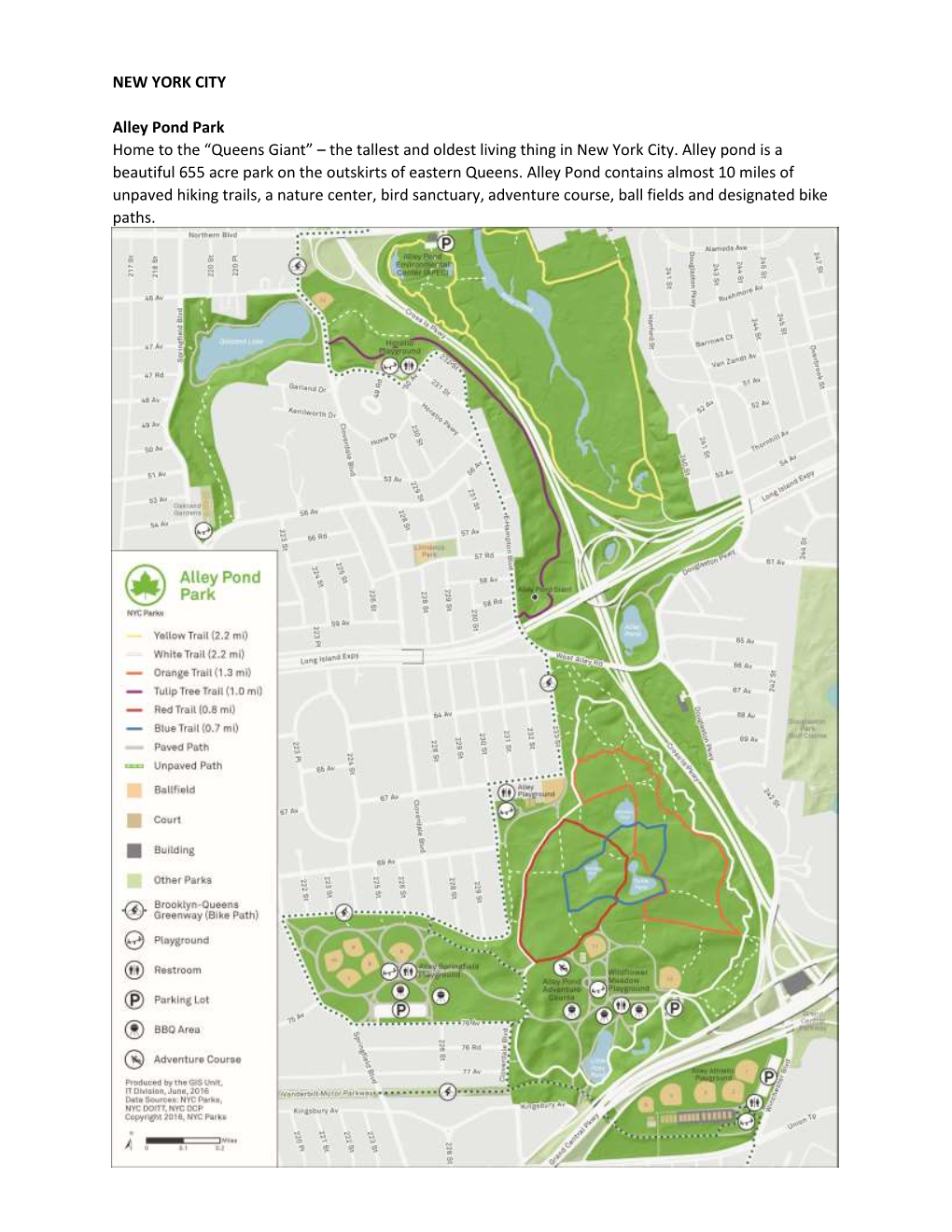 NEW YORK CITY Alley Pond Park Home to the “Queens Giant” – the Tallest ...