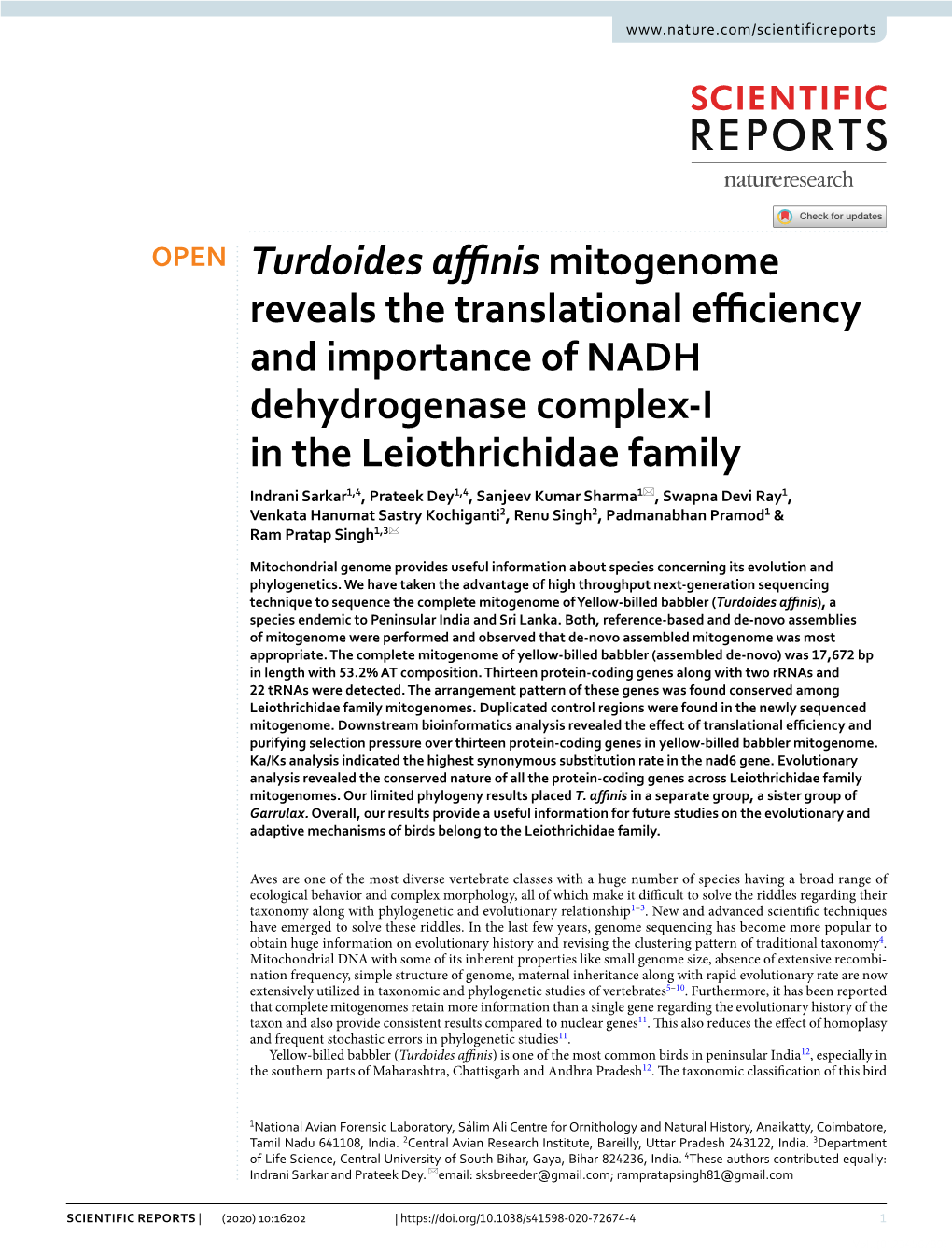 Turdoides Affinis Mitogenome Reveals the Translational Efficiency And