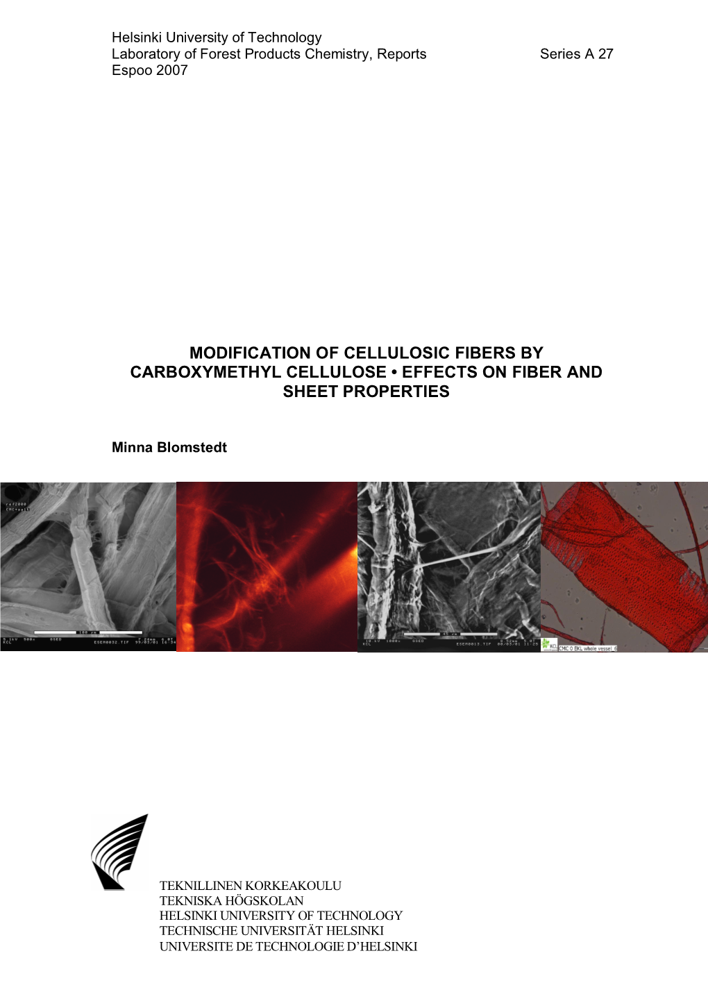 Modification of Cellulosic Fibers by Carboxymethyl Cellulose • Effects on Fiber and Sheet Properties