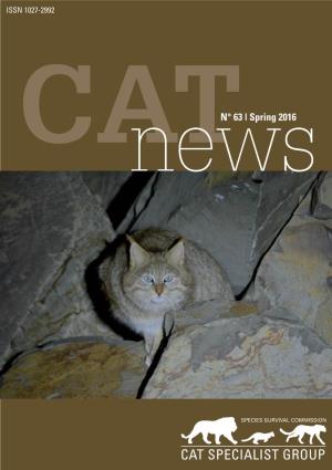Recent Records of Wild Cats in the Boé Sector Of