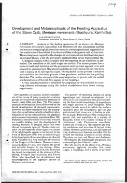 Development and Metamorphosis of the Feeding Apparatus of the Stone Crab, Menippe Mercenaria (Brachyura, Xanthidae)