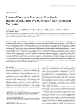 Rescue of Dopamine Transporter Function in Hypoinsulinemic Rats by a D2 Receptor–ERK-Dependent Mechanism