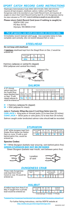 Steelhead Sport Catch Record Card Instructions