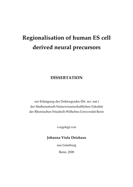 Regionalisation of Human ES Cell Derived Neural Precursors