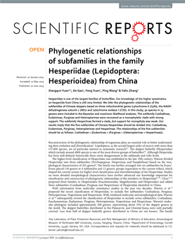 Phylogenetic Relationships of Subfamilies in the Family Hesperiidae (Lepidoptera: Hesperioidea) from China