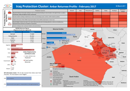Iraq Protection Cluster: Anbar Returnee Profile