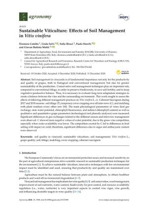 Sustainable Viticulture: Effects of Soil Management in Vitis Vinifera