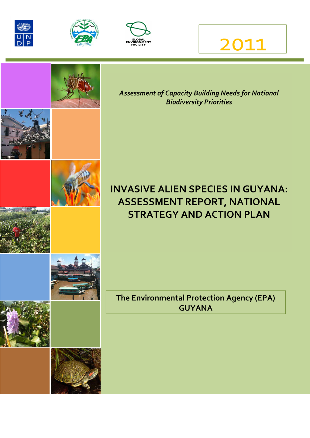 Invasive Alien Species in Guyana: Assessment Report, National Strategy