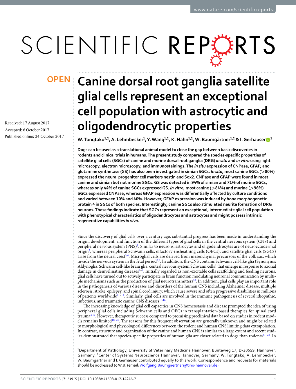 Canine Dorsal Root Ganglia Satellite Glial Cells Represent an Exceptional Cell Population with Astrocytic and Oligodendrocytic P