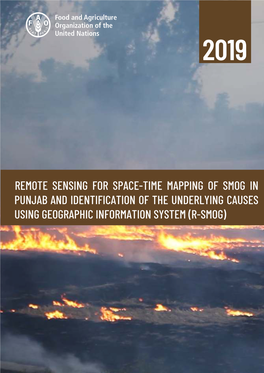 Remote Sensing for Space-Time Mapping of Smog in Punjab And