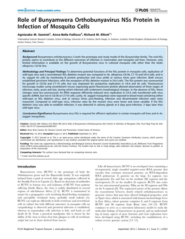 Role of Bunyamwera Orthobunyavirus Nss Protein in Infection of Mosquito Cells