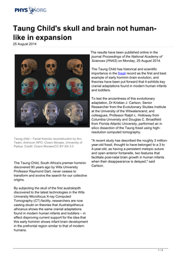 Taung Child's Skull and Brain Not Human-Like in Expansion