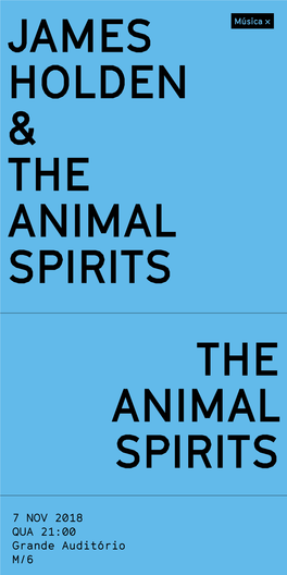 James Holden & the Animal Spirits the Animal Spirits