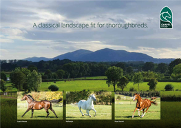 A Classical Landscape Fit for Thoroughbreds