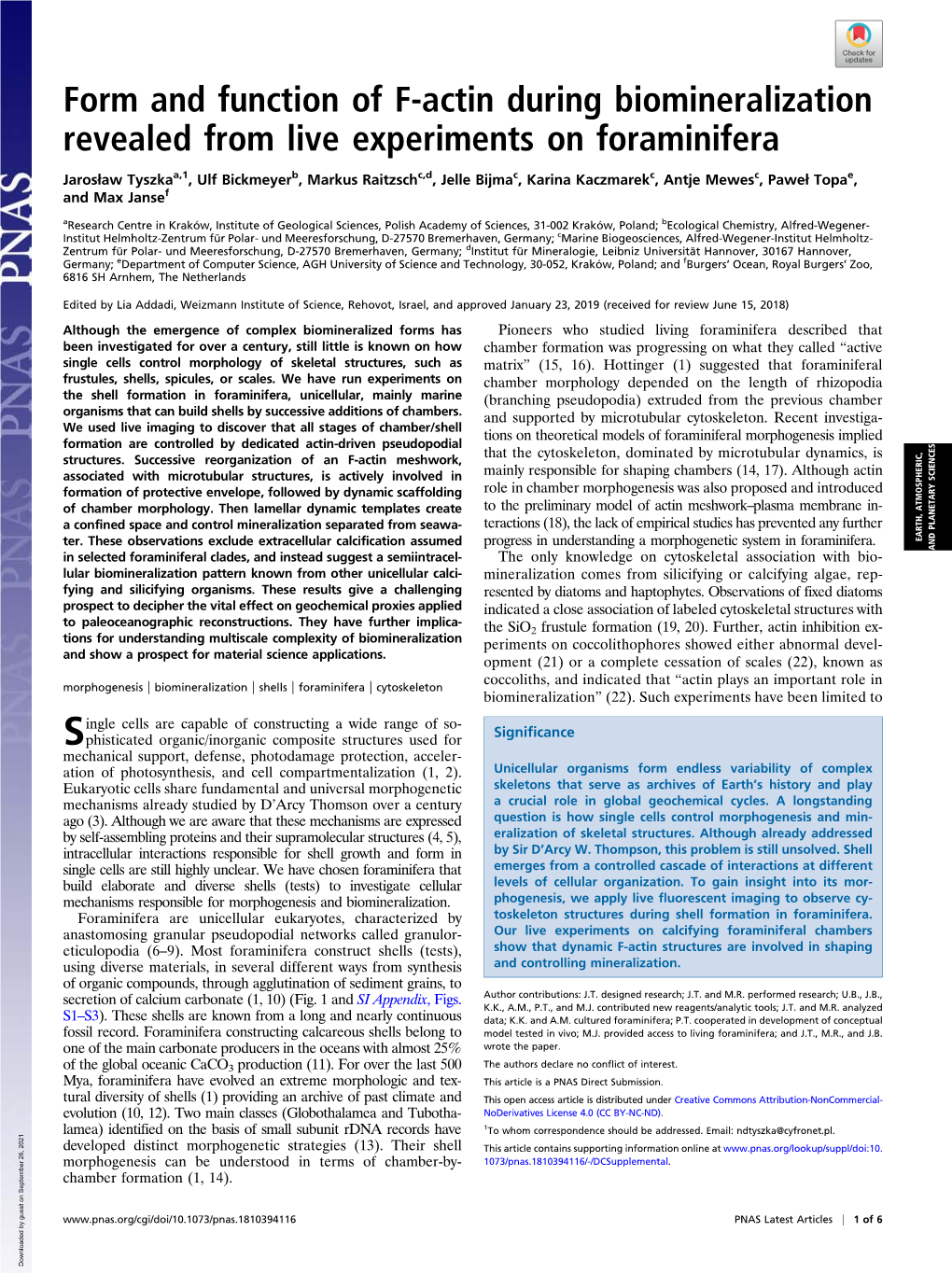 Form and Function of F-Actin During Biomineralization Revealed from Live Experiments on Foraminifera