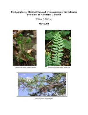 The Ferns and Pines of the Delmarva Peninsula
