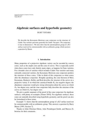 Algebraic Surfaces and Hyperbolic Geometry