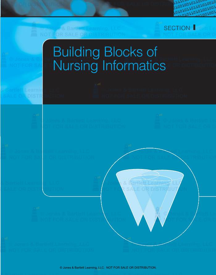 Building Blocks of Nursing Informatics