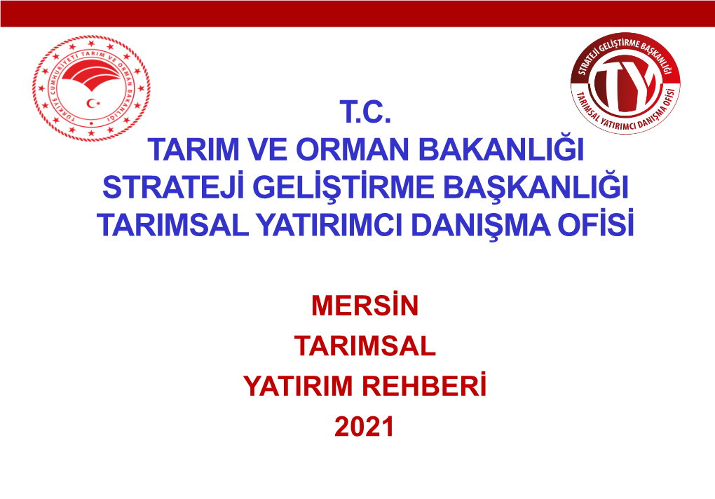 Mersin Tarımsal Yatırım Rehberi 2021