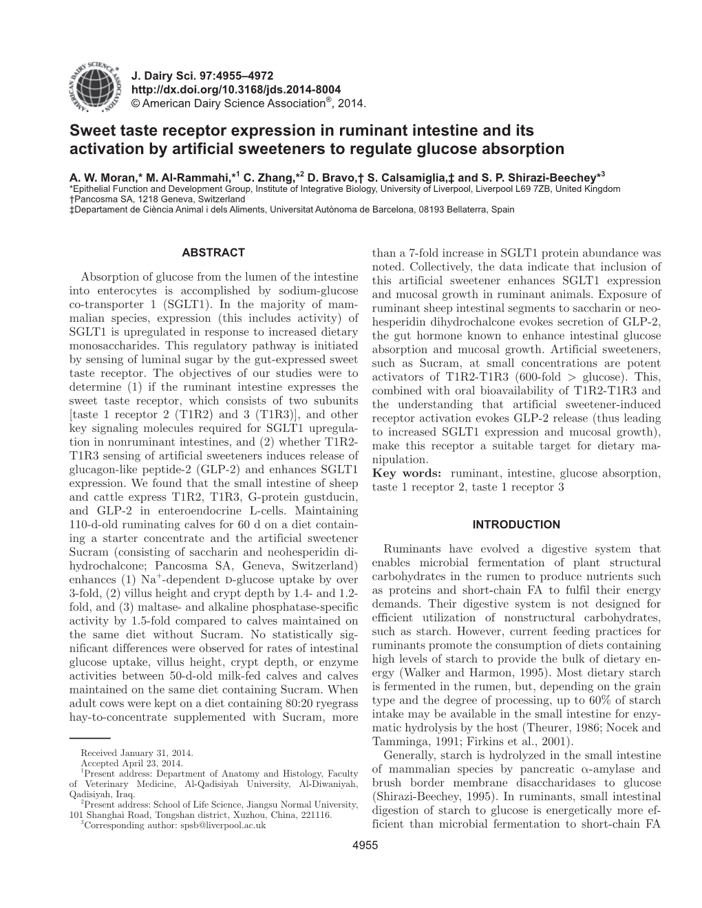 Sweet Taste Receptor Expression in Ruminant Intestine and Its Activation by Artificial Sweeteners to Regulate Glucose Absorption