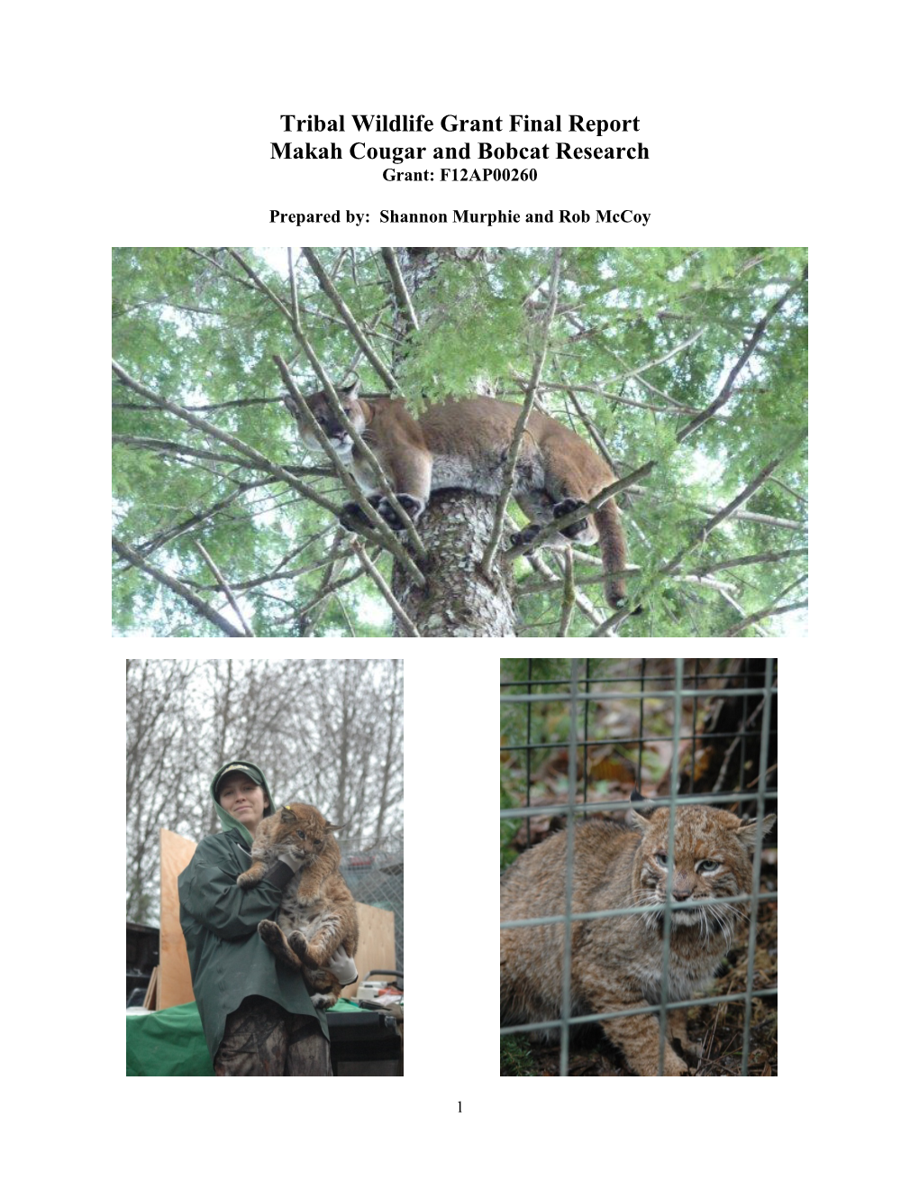 Tribal Wildlife Grant Final Report Makah Cougar and Bobcat Research Grant: F12AP00260