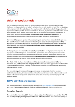 Avian Mycoplasmosis