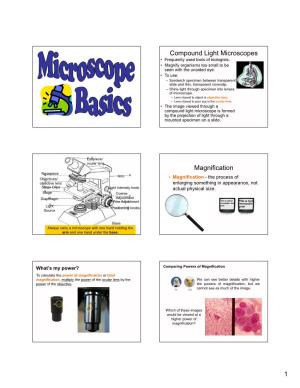 Compound Light Microscopes Magnification