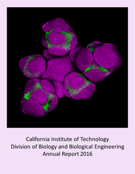 California Institute of Technology Division of Biology and Biological