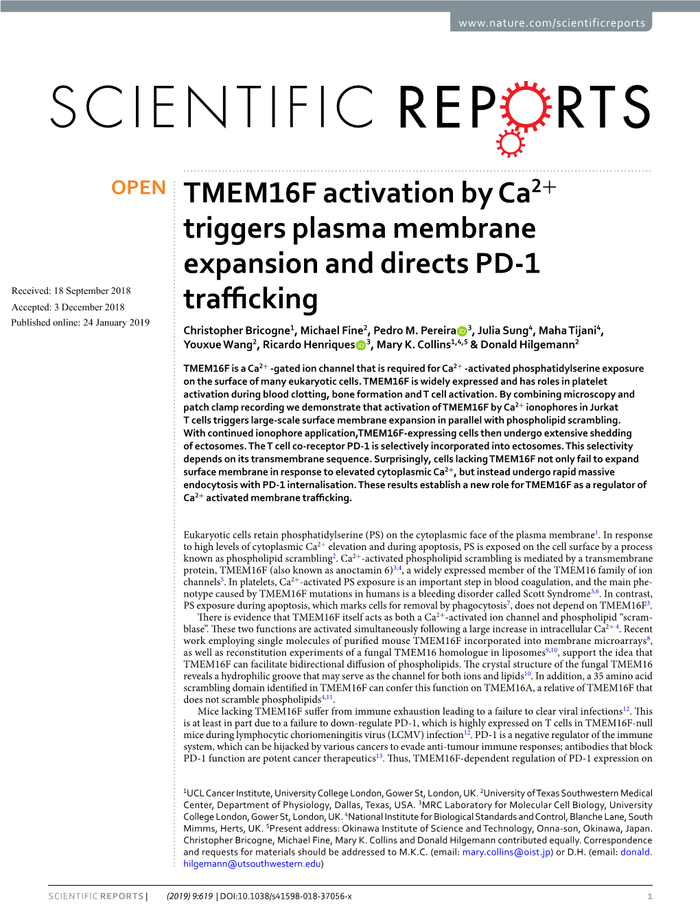 TMEM16F Activation by Ca2+ Triggers Plasma Membrane Expansion And