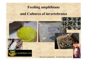 Feeding Amphibians and Cultures of Invertebrates