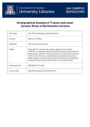 Stratigraphical Analysis of Triassic and Lower Jurassic Rocks in Northeastern Arizona