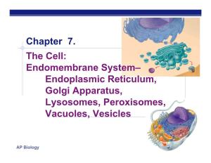 Endomembrane System– Endoplasmic Reticulum, Golgi Apparatus, Lysosomes, Peroxisomes, Vacuoles, Vesicles