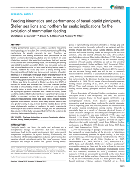 Feeding Kinematics and Performance Of